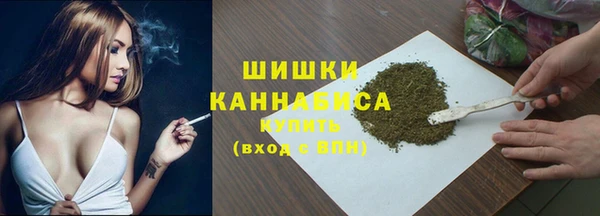 МДПВ Карпинск