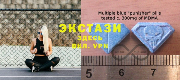 МДПВ Карпинск
