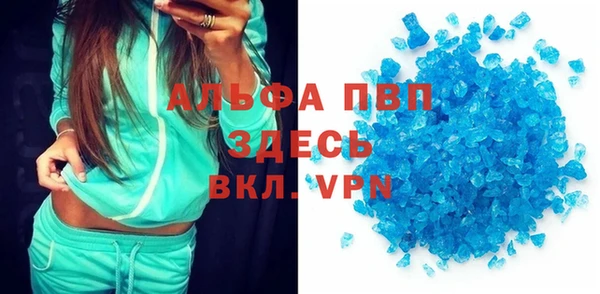 прущие грибы Щигры