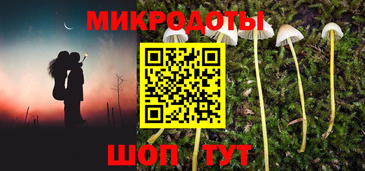 Сызрань  Псилоцибиновые грибы мицелий  Вход с VPN 