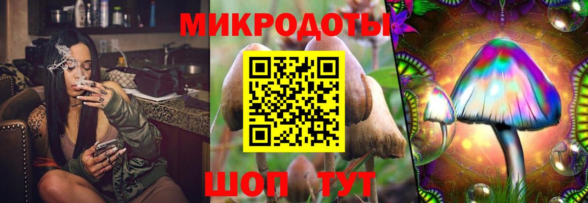 Галлюциногенные грибы MAGIC MUSHROOMS Сызрань